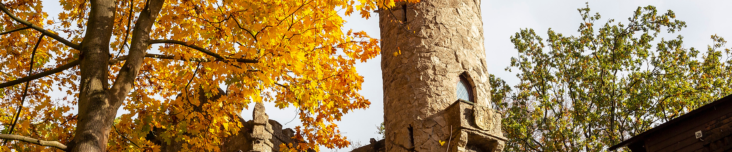 Burg Henneberg