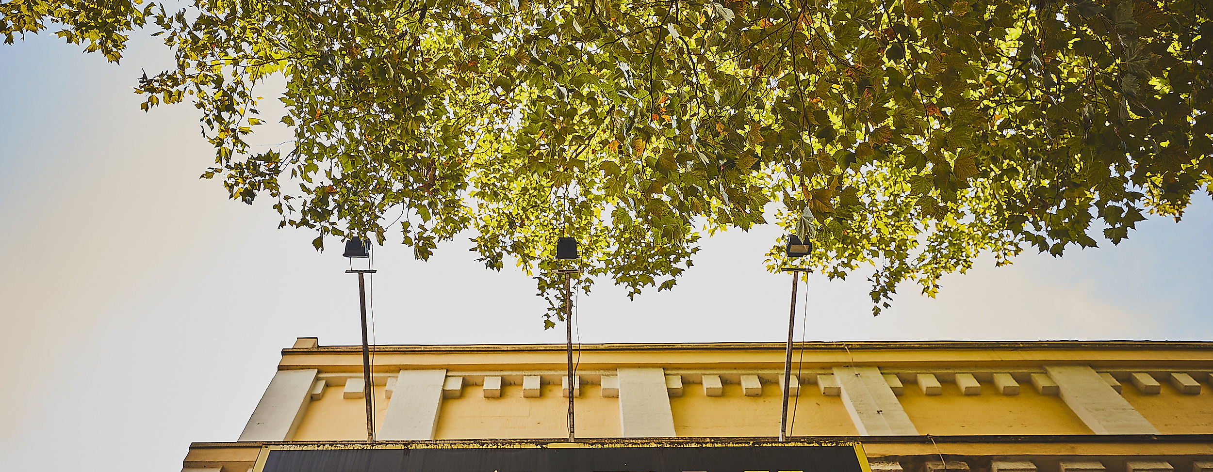 delphi-showpalast_c-2018-thisisjulia-photography-4