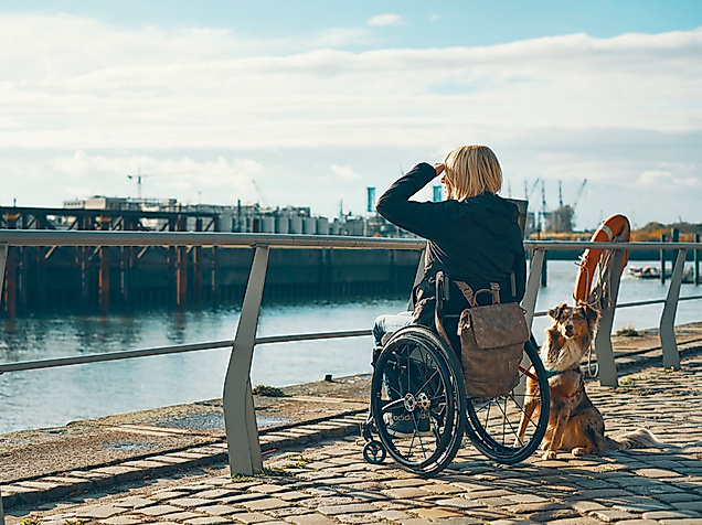 Rollstuhlfahrerin mit Hund blickt auf den Hamburger Hafen, barrierefreier Weg entlang der Hafencity.