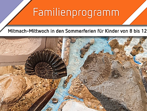 Mitmach-Mittwoch: Fossilien – Komm, ich erzähl‘ Dir eine Erdgeschichte