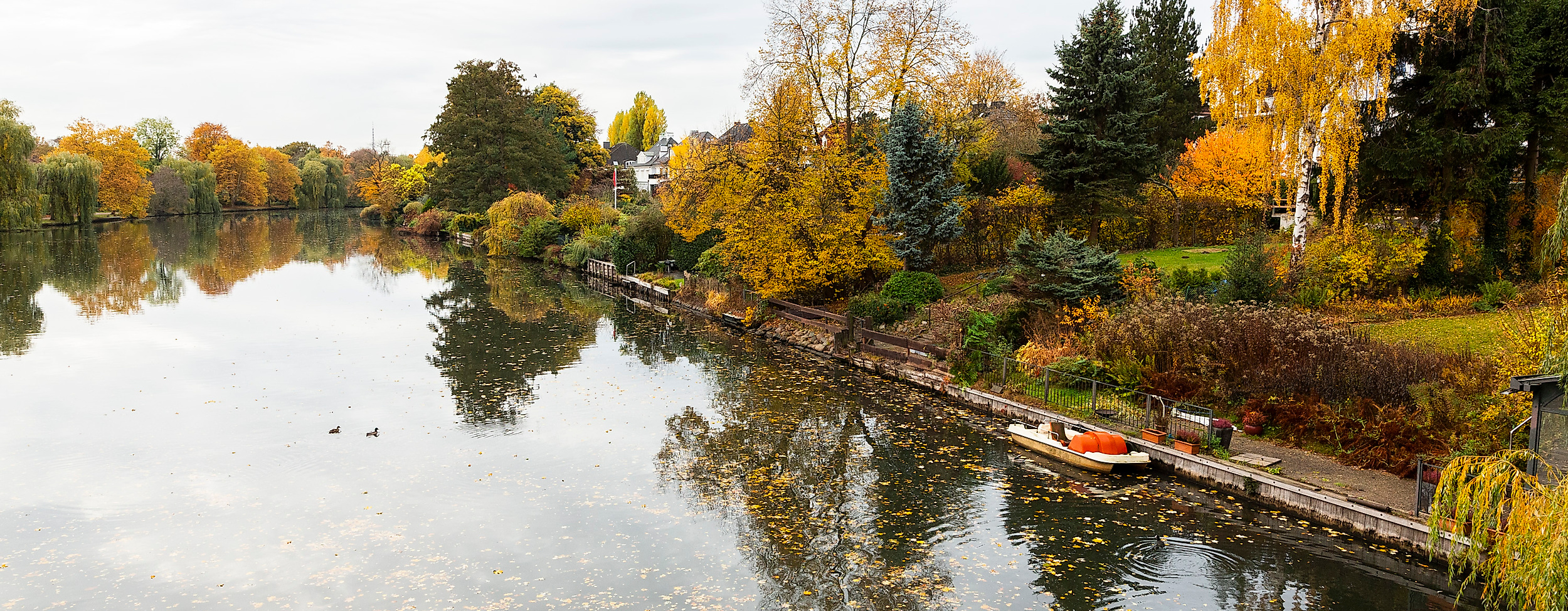 Herbstlich gefärbter Park mit ruhigem See in Hamburg, Laub auf dem Wasser und bunter Ufervegetation