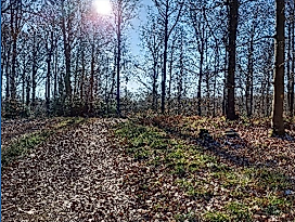 Naturkundliche Wanderung