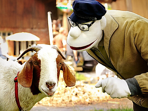 Werner Momsen - Momsen. Tiere, Sensationen