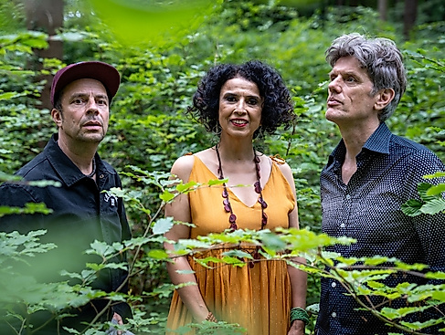 Paula Morelenbaums „Bossarenova Trio“ - Levitar