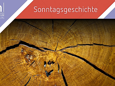 Sonntagsgeschichte: Eine alte Eiche erzählt ihre Geschichte