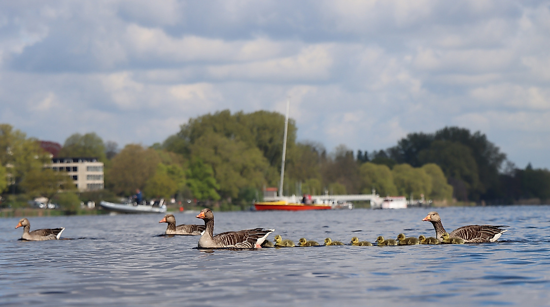 ganshamburg_2025-11-15