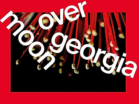 Ensemble Resonanz / Giorgi Gigashvili / Natalia Katuladze