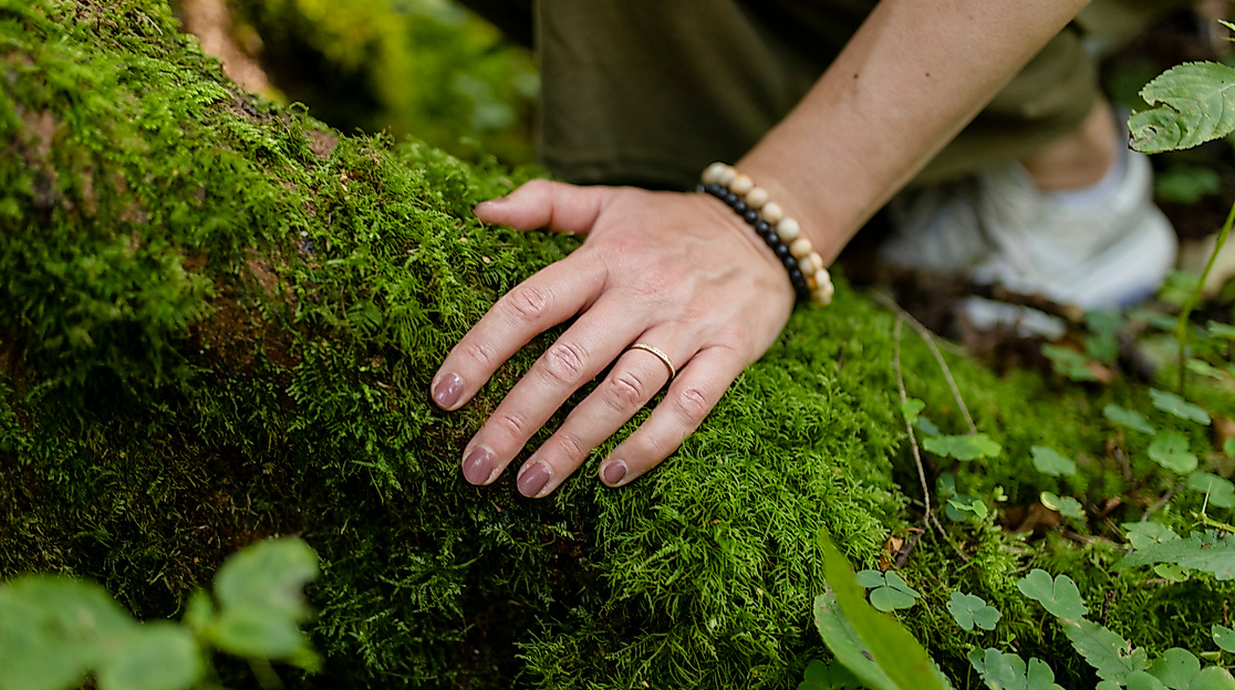 Den Wald mit allen Sinnen erleben
