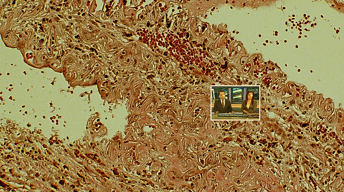 Bildgewalt im Netz – Book Launch und Critical Live Scrolling