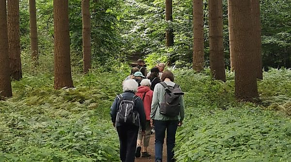 Waldtage - Exkursion in den Wald am Ahlenmoor