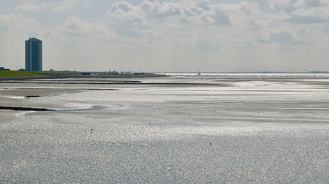 Lange Wattwanderung von Büsum bis Stinteck