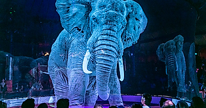 Elefant-Hologram-Roncalli-c-Roncalli