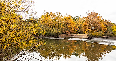 Herbstliche Flusslandschaft in Hamburg mit gelb-orange gefärbten Bäumen und ruhigem Wasserlauf