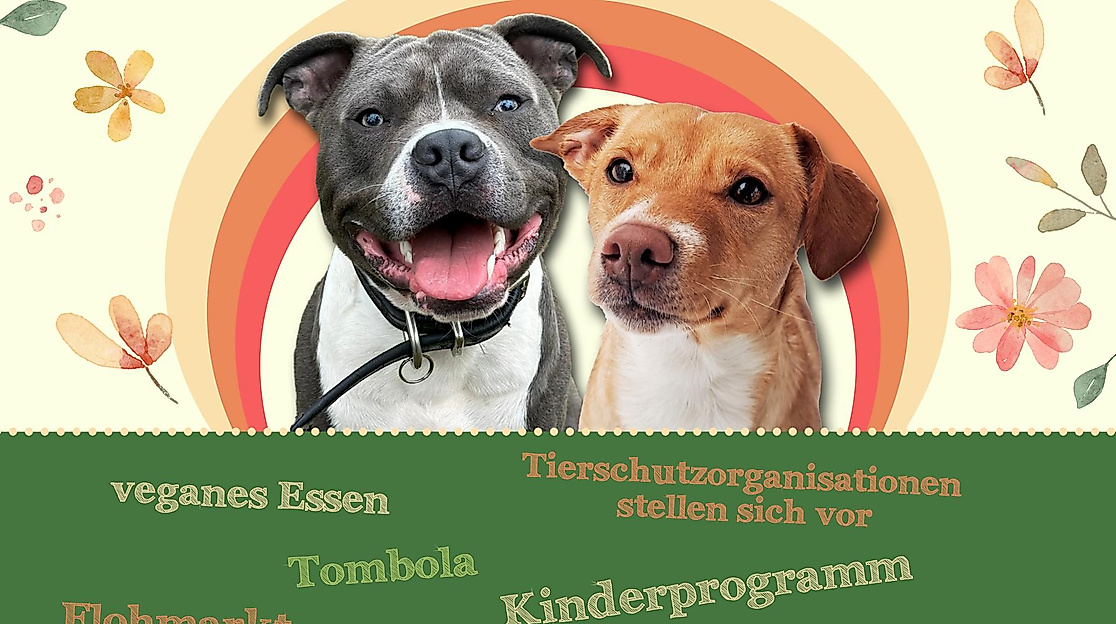 Tierschutzfest 2026