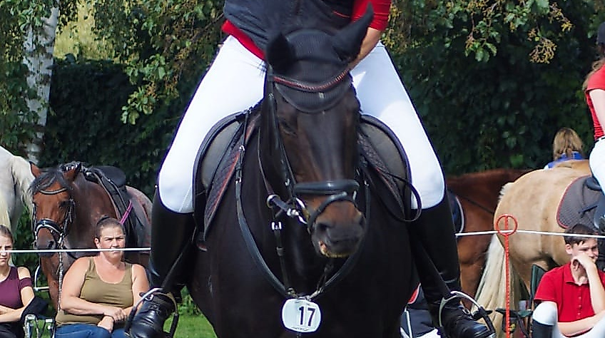 bfca2702-c503-4a7e-b31e-71c328a1faac