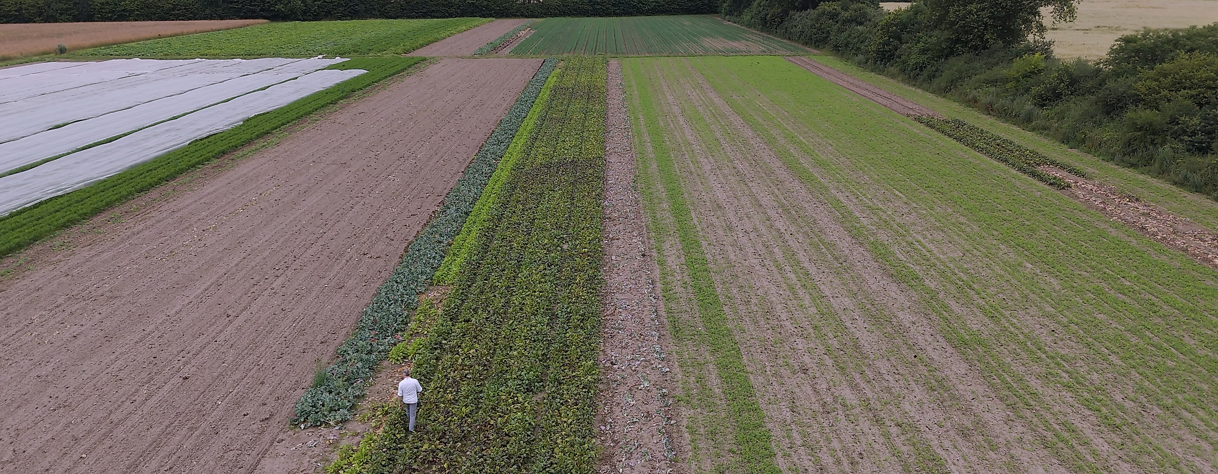 Gutskueche Wulksfelde