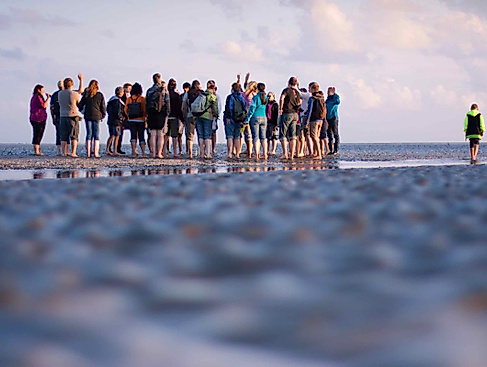 Wattwanderung in Friedrichskoog