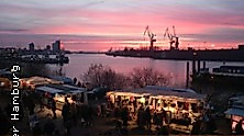 Sonntagmorgen - Spezial zum Fischmarkt!