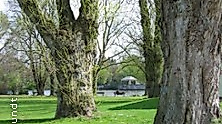 Rundgang: Der Hayns Park - Eppendorfs grünes Erbe
