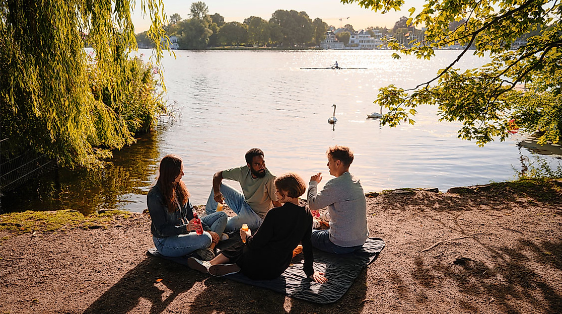 Picknick auf der Alsterwiese in Hamburg