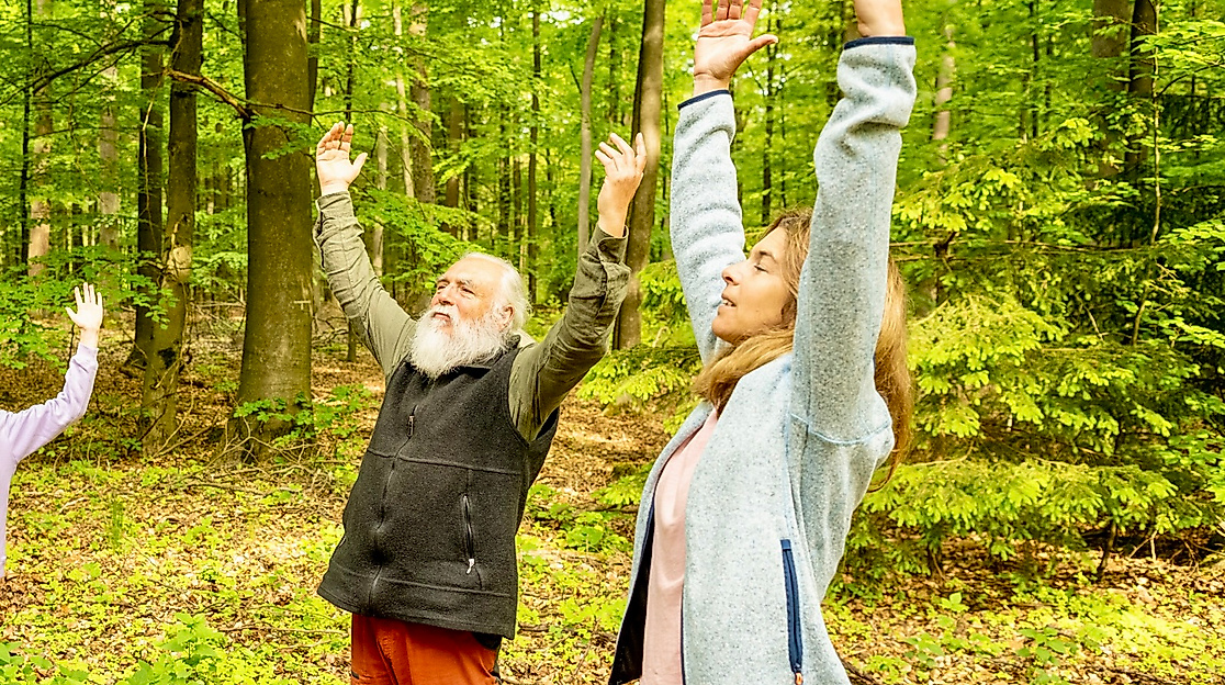Heideregion Uelzen-2023-269-Wald Lintzel-Wanderung mit Volker Einhorn-HeideRegion Uelzen e. V., Dominik Ketz