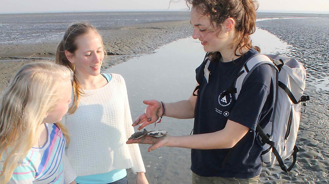 Lange Wattwanderung von Büsum bis Stinteck