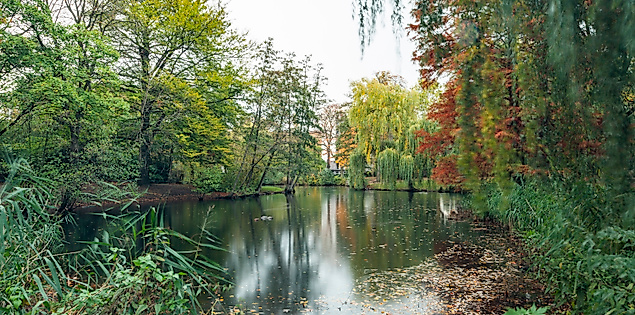 Ruhiger Teich im Eimsbütteler Park, umgeben von dichtem, herbstlich gefärbtem Baumbestand