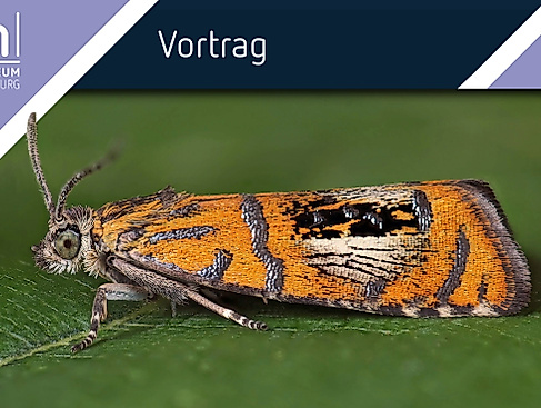 Vortrag mit Frank Stühmer