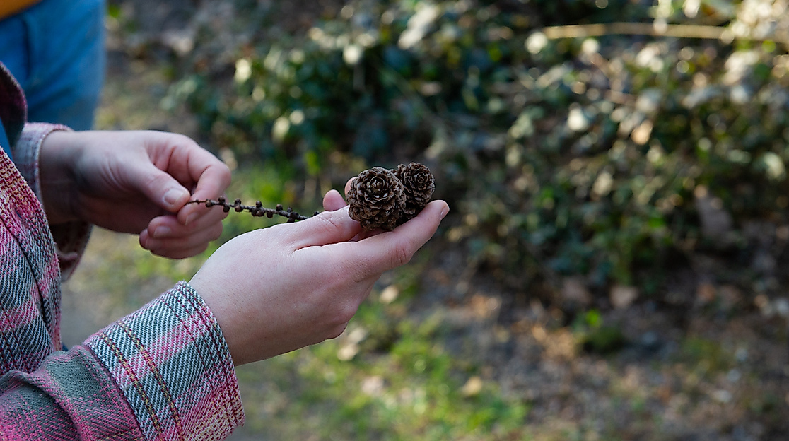 ars-eco-lab-Naturfuehrung-9785