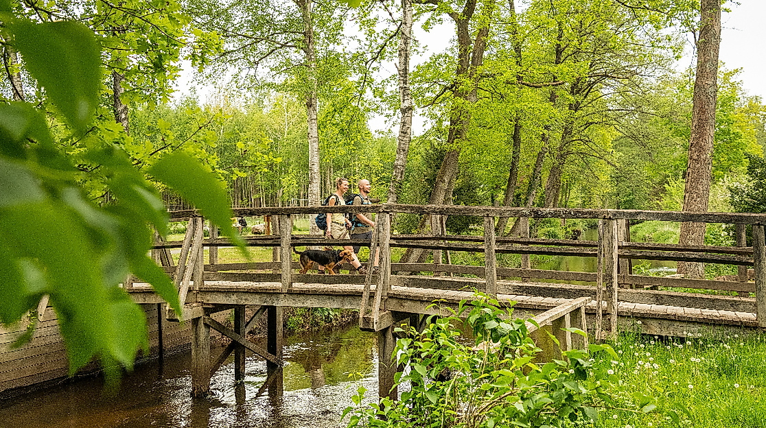 Wietze Brücke in Müden (Örtze)