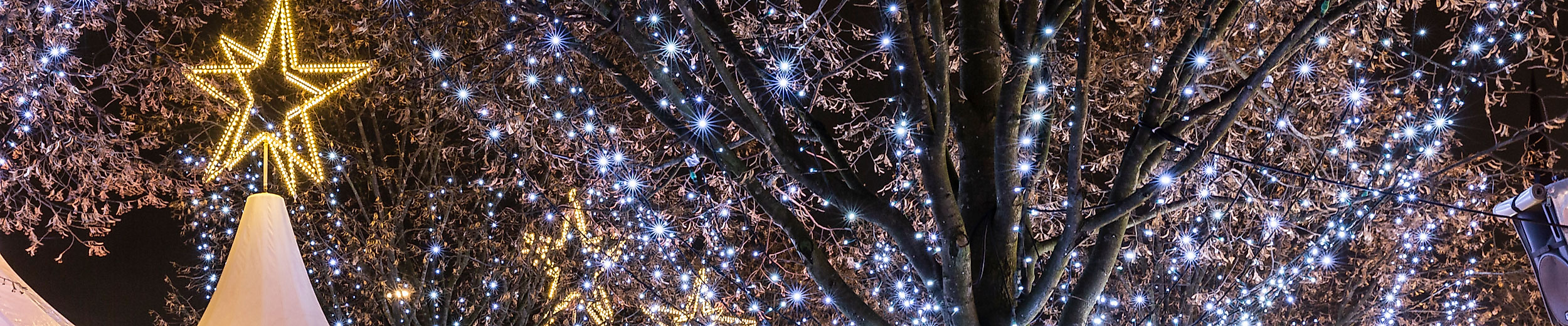 Weihnachtsmarkt Hamburg