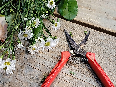 Floristik-Workshop: Tischgestecke