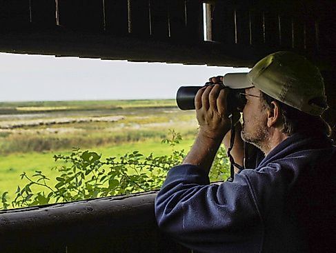 Birds on Tour – Vogelbingo im Natureum