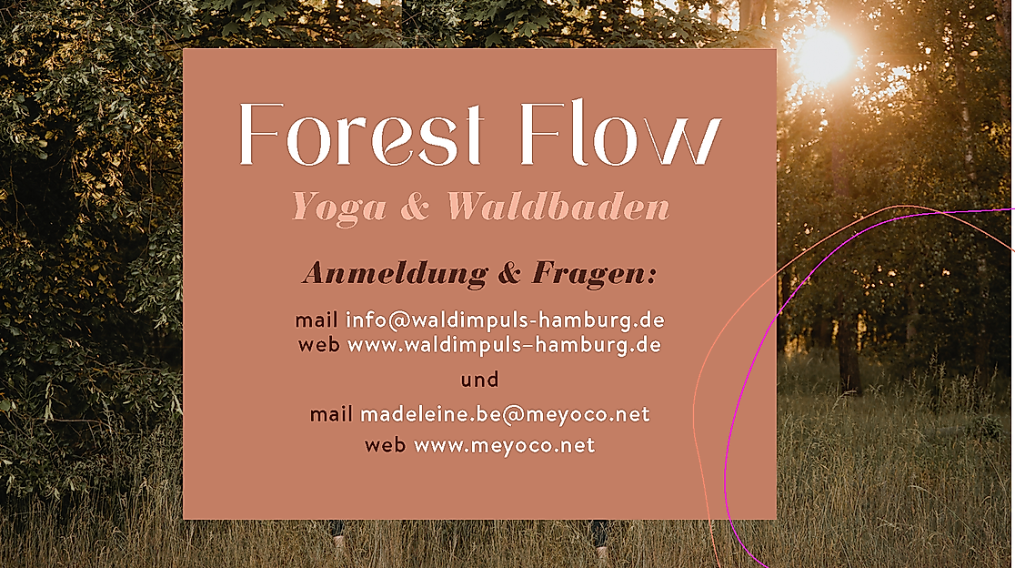Yoga und Waldbaden | waldimpuls-hamburg
