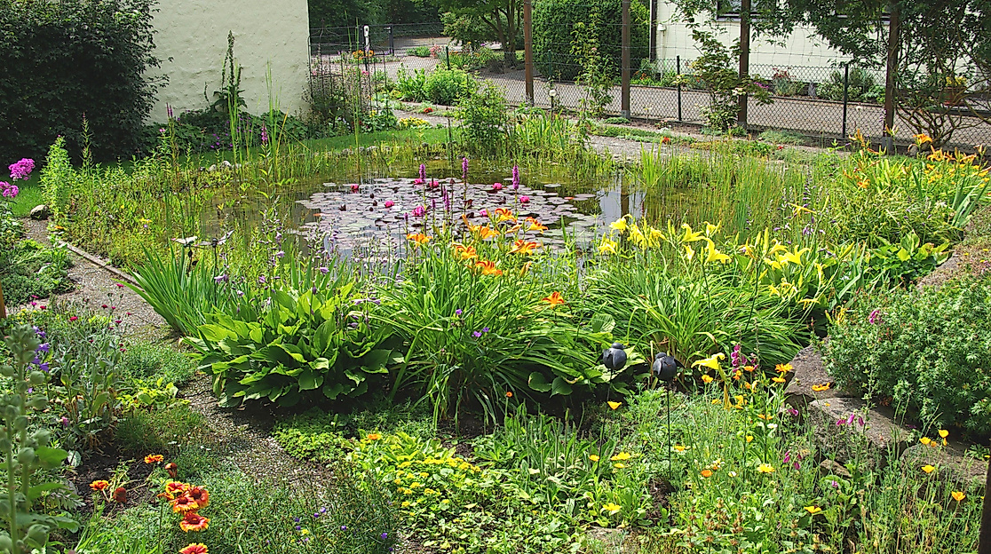 Gartenteich im Naturgarten Radtke