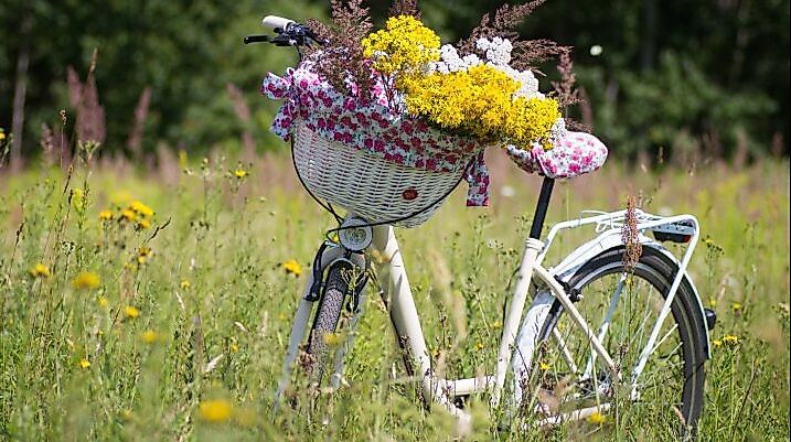 Radtour mit dem Radelrudel