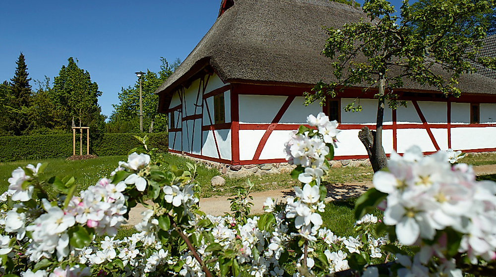 freilichtmuseum_fuer_volkskunde_7