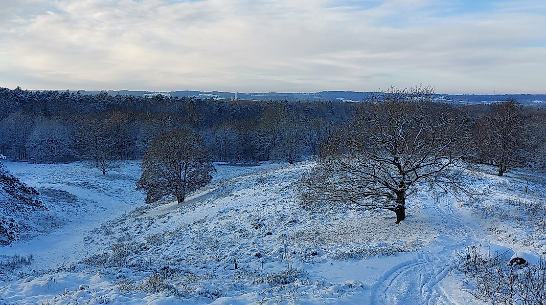 Boxberg im Schnee