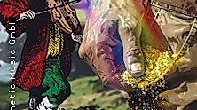 The Irish Folk Festival 2026 - Gold dust in your pocket Tour