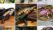 Hundeleine & - Halsband selbst erstellen