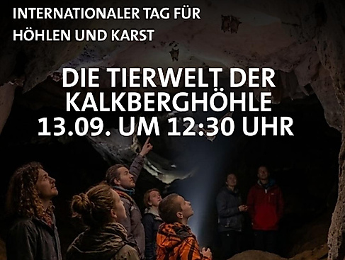Tierwelt