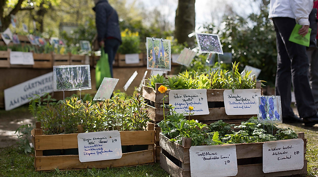 Norddeutschlands größter Pflanzenmarkt