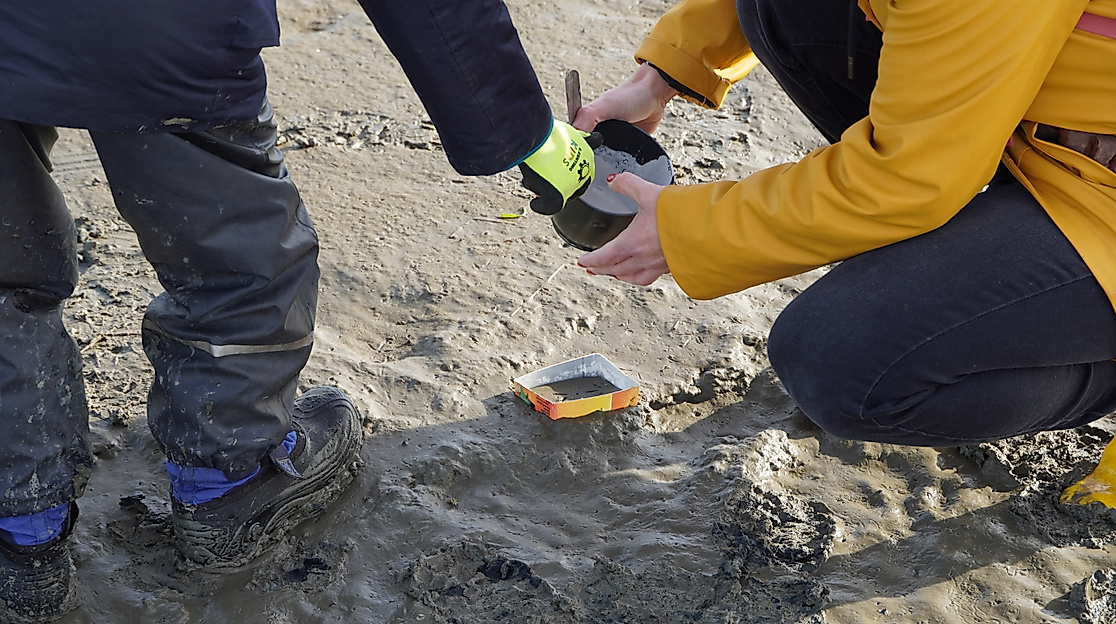 Tatort Watt: Vogelspuren entdecken und sichern!