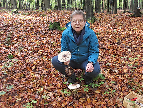 Foto-Pilzführung-Ulrike-Öhler