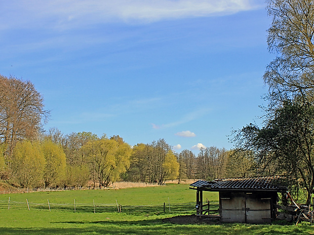 Heimfelder Holz