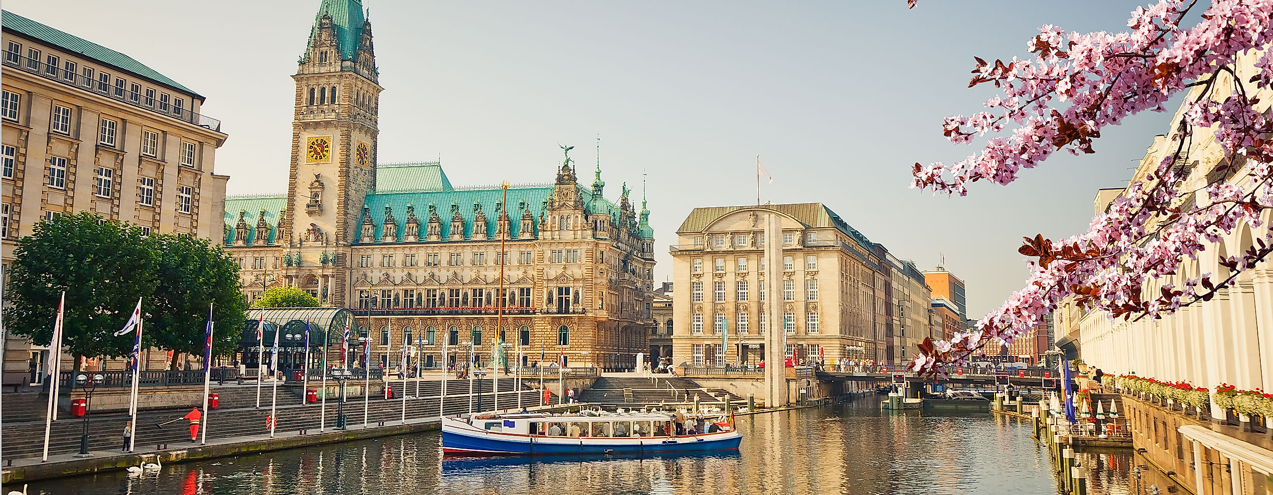  Aktivitäten im Frühling in Hamburg Kirschblüte Rathaus mit Boot im Vordergrund