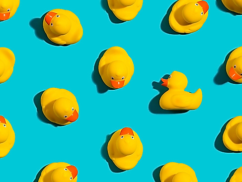 Nikolaus mal anders – Entenessen &amp; Party mit DJ Ente