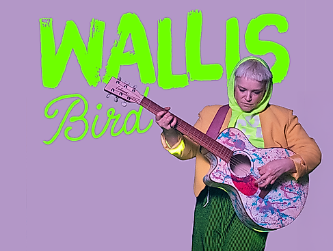 Wallis Bird