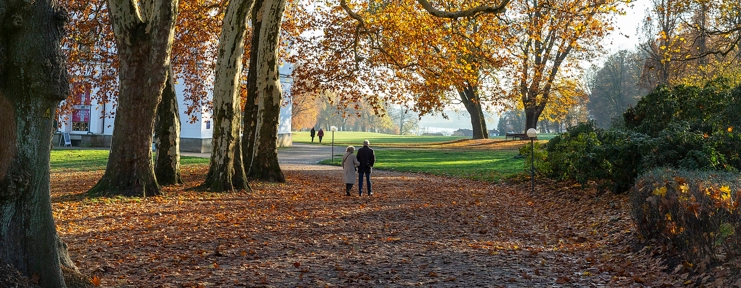 lee_maas_timo_sommer_elbvororte_jenisch_park3000px_argb_200_1