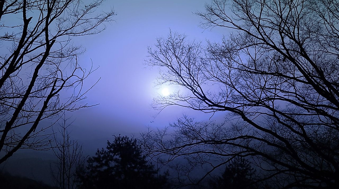 Vollmond-Wanderung am Ahlenmoor